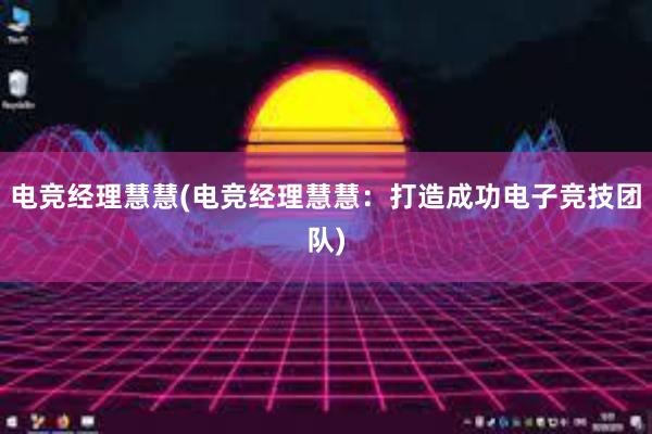 电竞经理慧慧(电竞经理慧慧：打造成功电子竞技团队)