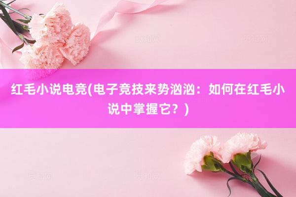 红毛小说电竞(电子竞技来势汹汹：如何在红毛小说中掌握它？)