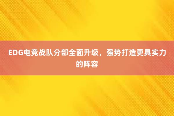 EDG电竞战队分部全面升级，强势打造更具实力的阵容