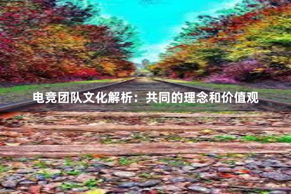 电竞团队文化解析：共同的理念和价值观