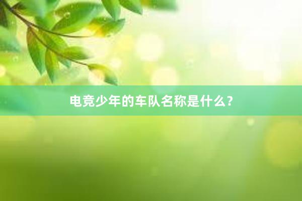 电竞少年的车队名称是什么？