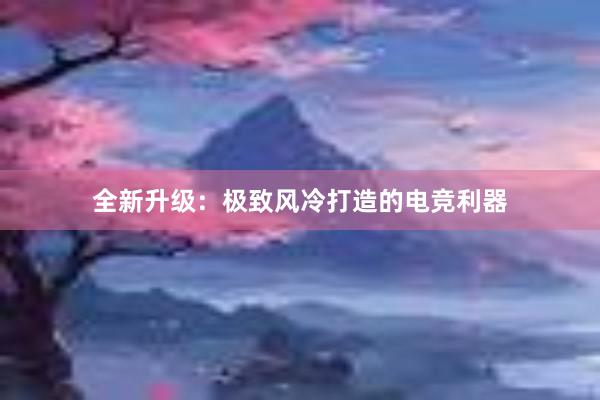 全新升级：极致风冷打造的电竞利器