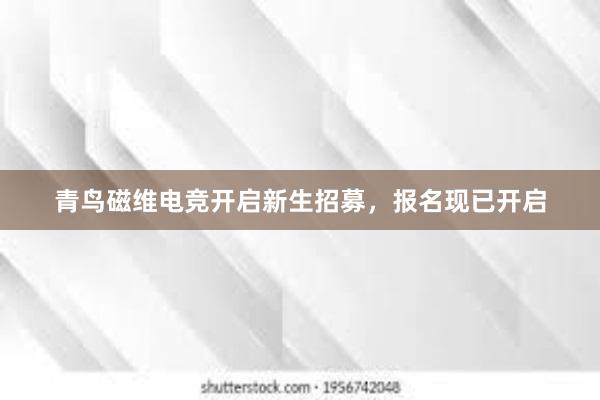 青鸟磁维电竞开启新生招募，报名现已开启